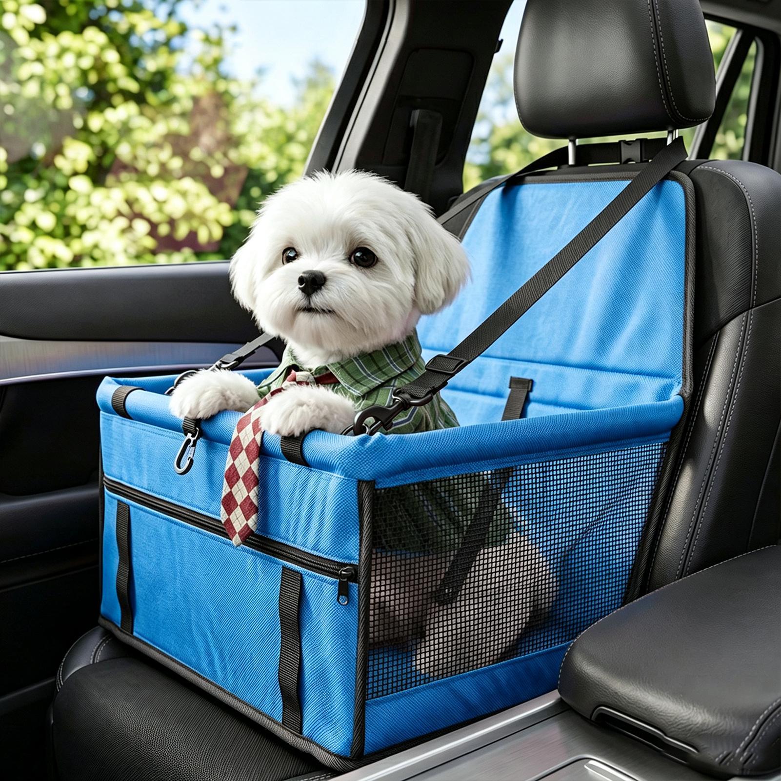 Fotele samochodowe dla małych  – Travel Accessories Under 10 recenzja i cena